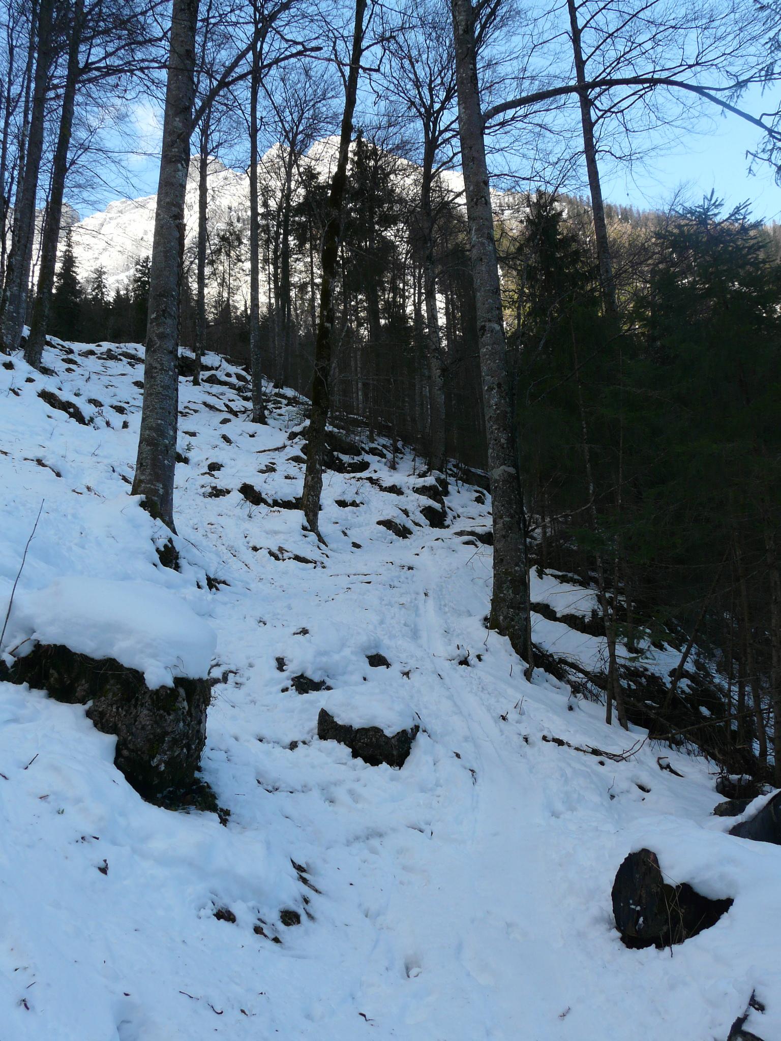 bewaldete Steilstufe